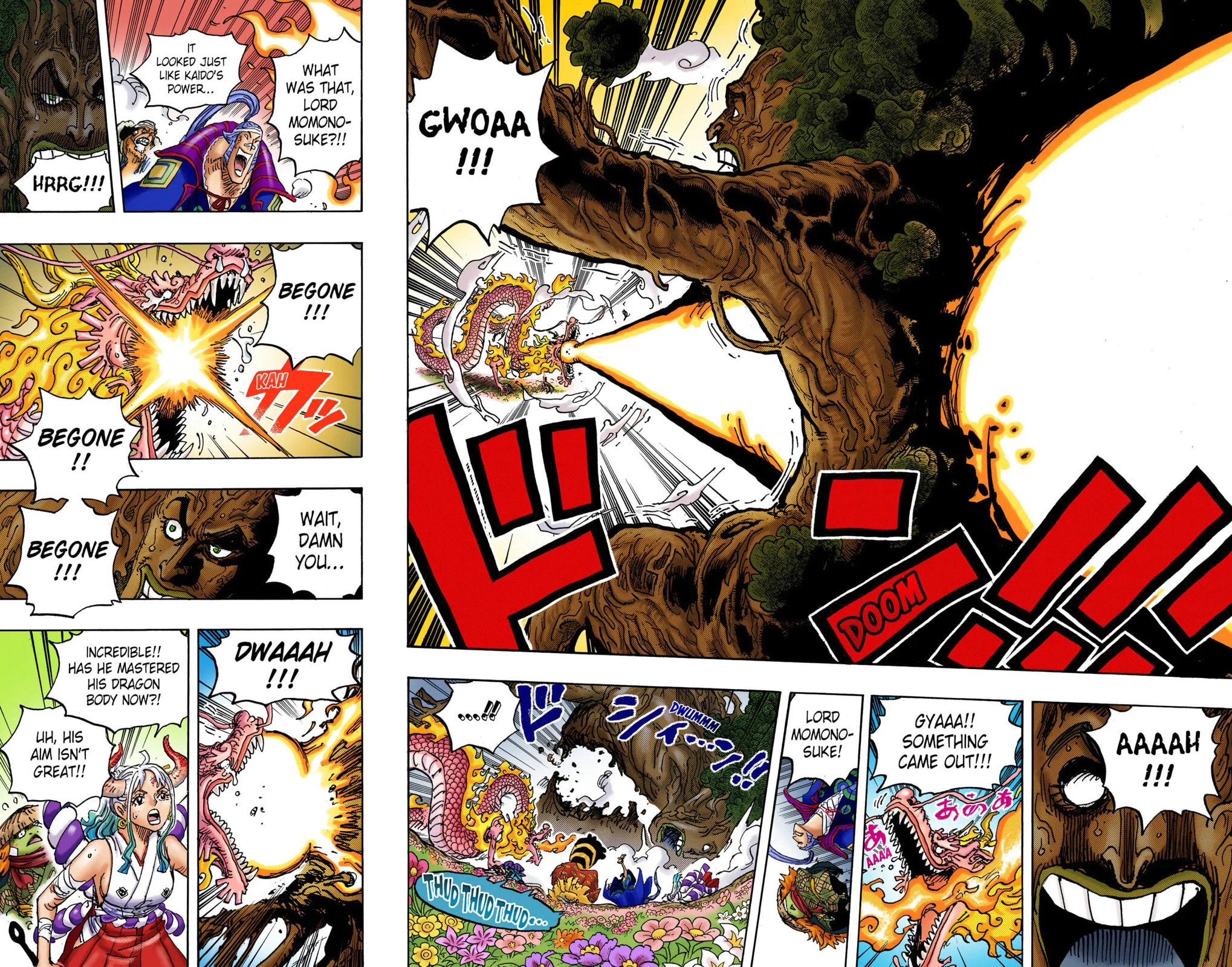 One Piece Digital Colored Chapter 1055 image 12